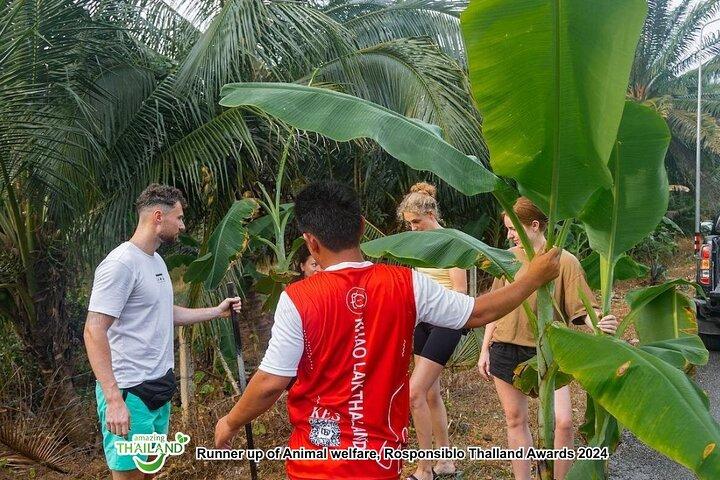 Khao Lak Ethical Elephant Sanctuary Rundvisning i mindre grupper