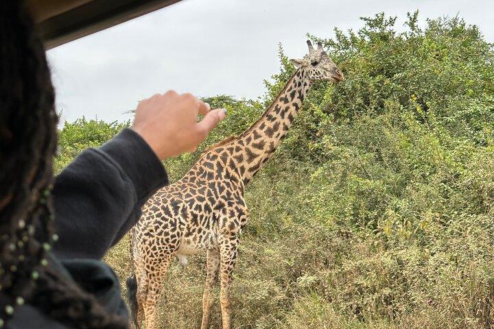 Nairobi National Park Cruiser Halbtagessafari