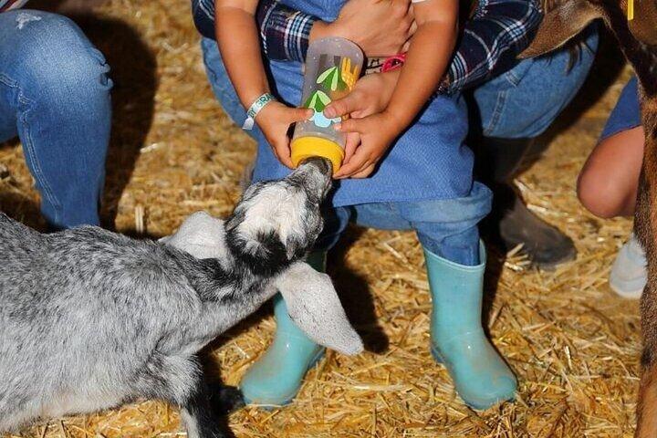 Agricultor por um dia com degustação