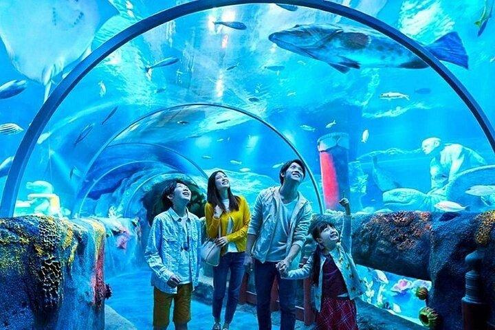 Istanbul Aquarium Experience with Comfortable Hotel Transfers
