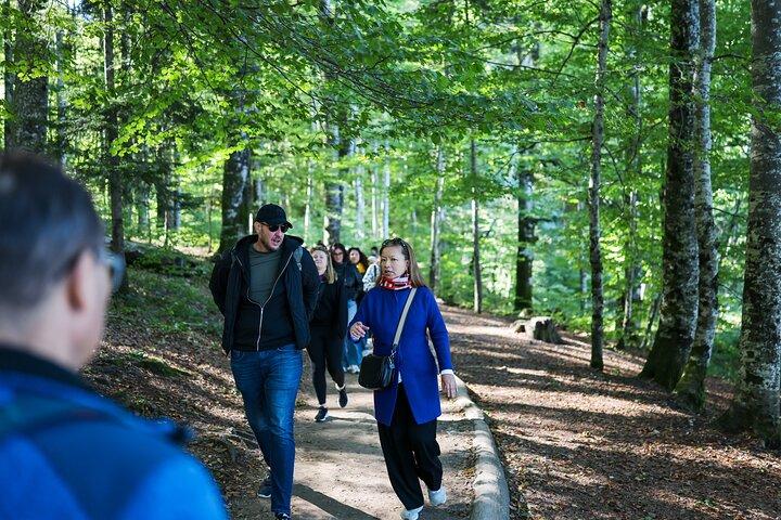 De Zadar : visite guidée d'une journée des lacs de Plitvice avec billets
