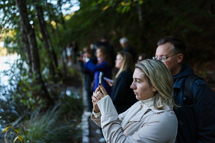 De Zadar : visite guidée d'une journée des lacs de Plitvice avec billets