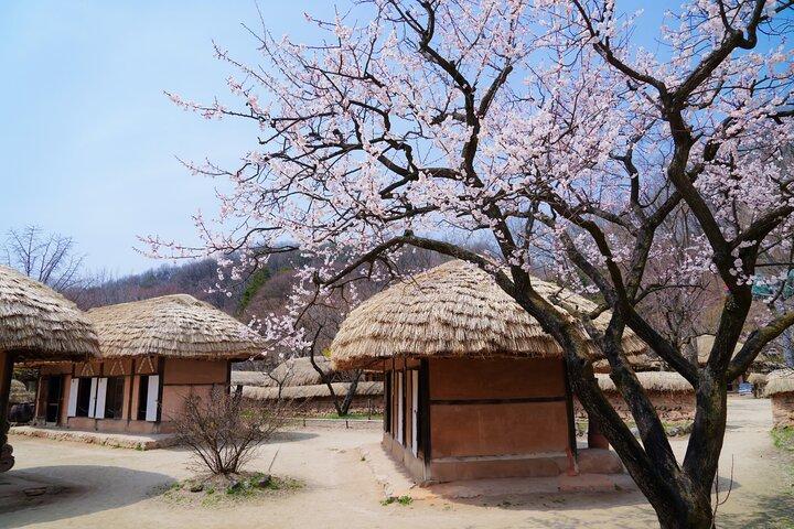 Flexible private Führung in Suwon (optional Incheon Layover)