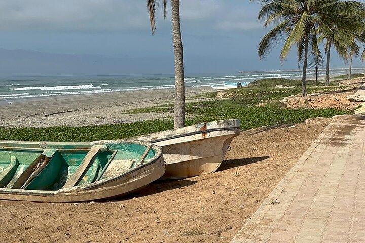Salalah Est e Ovest Archeologia Spiagge e Meraviglie Naturali