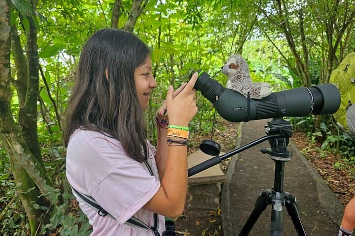 Arenal’s Best Sloth Tour: A Unique Wildlife Experience