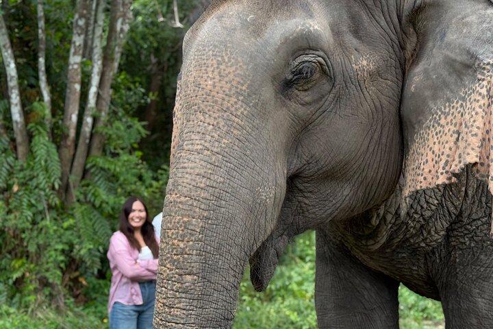 Armee Jeep Dschungel Safari und Elefant Freiheit Rettungszentrum Tour
