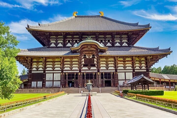 From Osaka/Kyoto: Kyoto & Nara Day Trip with Optional Lunch