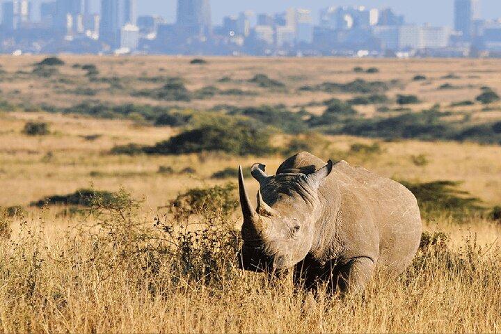 Nairobi National Park Half Day Tour with a visit to beads factory