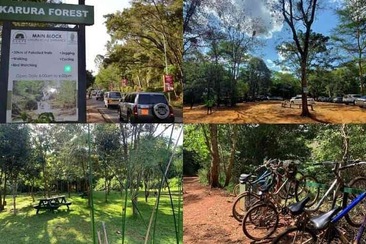 Karura Forest and Fairview Coffee Farm Private Day Tour