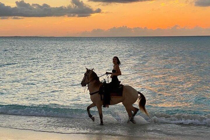 2H Sunrise Horse Ride Strand og ørken med Transfer: Hurghada
