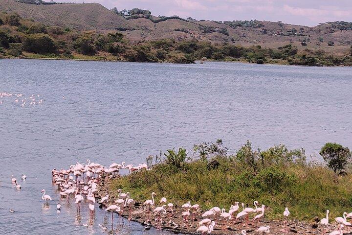 Ngorongoro Crater Private Day Trip