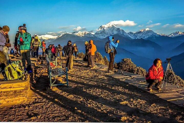 Scenic eventyr: 2-dages Poon Hill Trek Tour