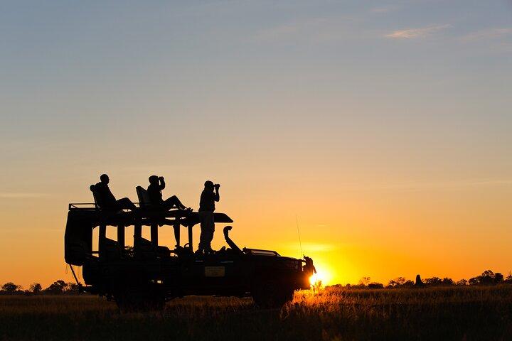 Chobe NP Guided Game drive, crociera di gioco e pranzo Safari