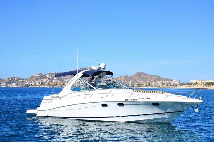 Private Yachtcharter in Cabo San Lucas