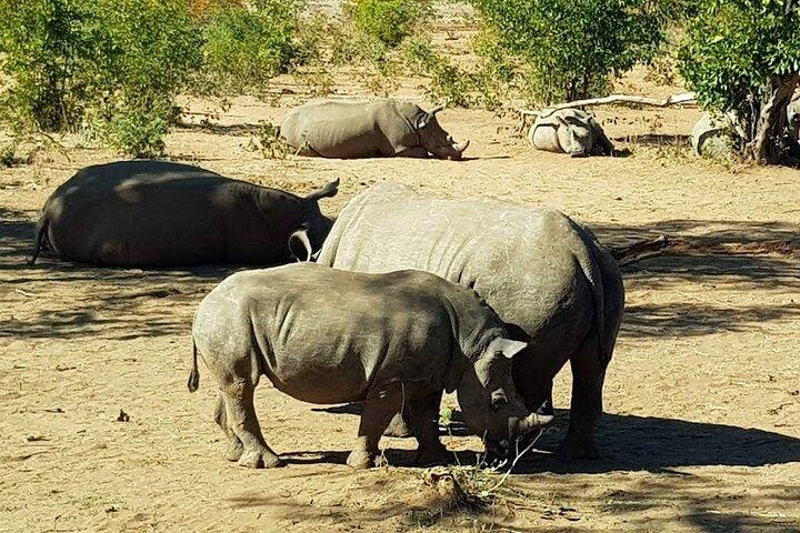 Mosi-oa-Tunya National Park Safari Game Drive y Rhino Walk