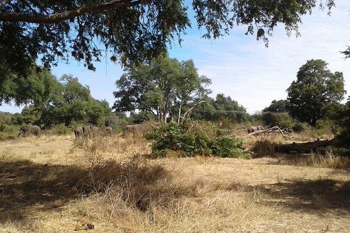 Mosi-oa-Tunya National Park Safari Game Drive y Rhino Walk