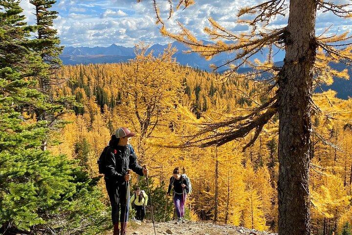 Tour privato personalizzato delle Montagne Rocciose da Calgary