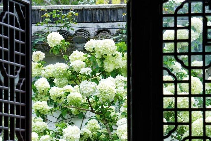 Suzhou privat tur från Shanghai UNESCO trädgårdar och vattenvägar