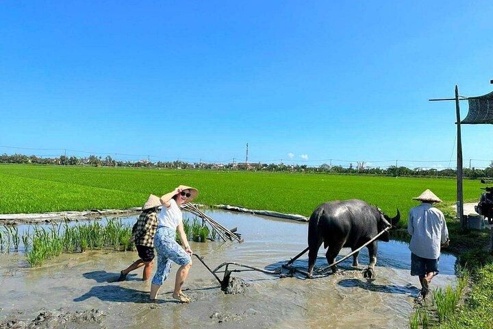 Autêntico Hoi An: Explore o campo com os moradores