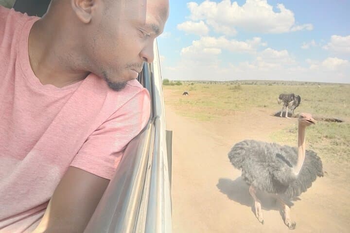 7 Day Kenya Safari With Accommodation