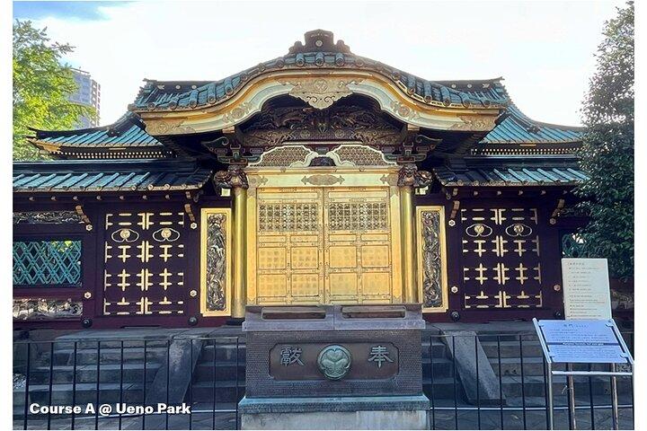 Tailored Tokyo private Tour with a Local Guide (10:00〜)