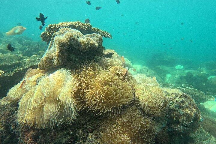 Phu Quoc por Speedboat com snorkel e almoço