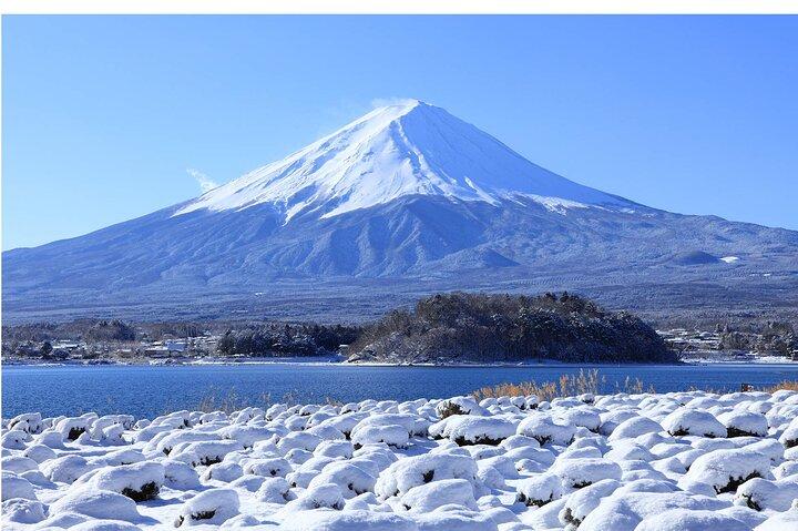 Monte Fuji Hikawa Clock Shop Oshino Hakkai e Oishi Park Excursão de um dia
