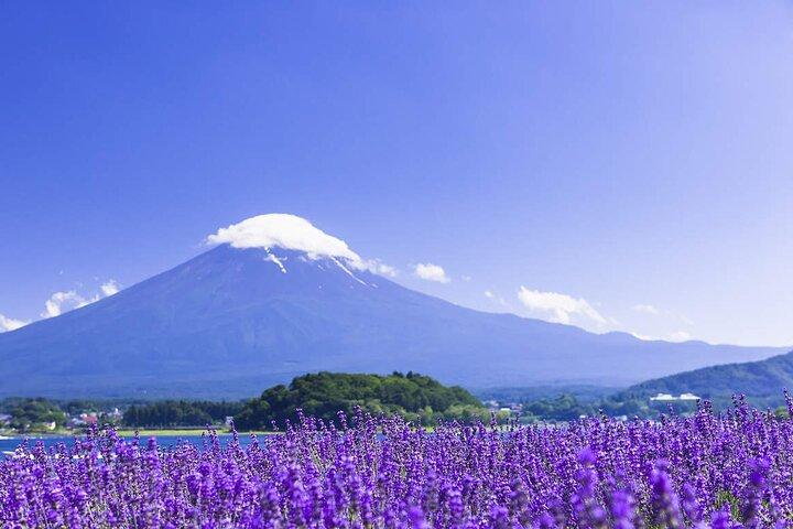 Monte Fuji Hikawa Clock Shop Oshino Hakkai e Oishi Park Excursão de um dia