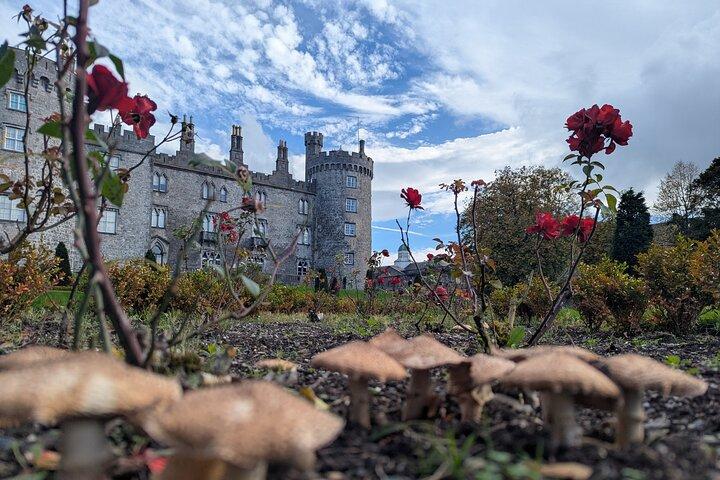 Private Kilkenny Tour: Medieval History & Local Insights