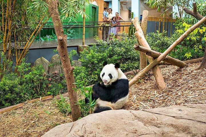 River Wonders Pass em Singapura