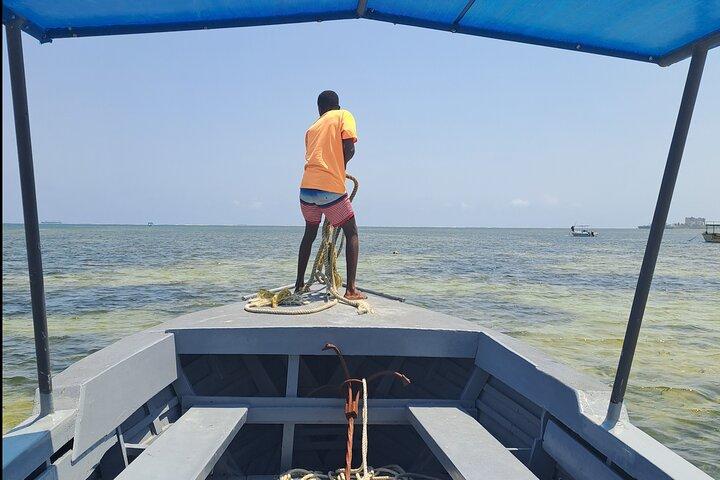 Coastal Explorer und Tropical Boat Ride