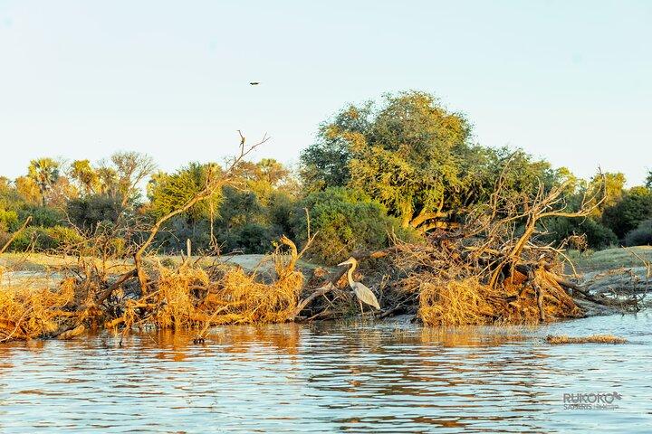 Zambezi River Sunset Cruise