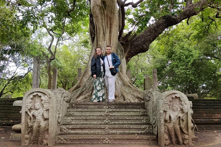 Entdecken Sie Anuradhapura in den Tiefen - Buddhismus, Kultur, Geschichte & Kunst
