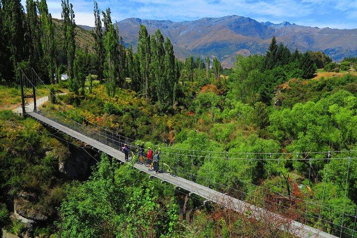 Queenstown elcykel og vin tur
