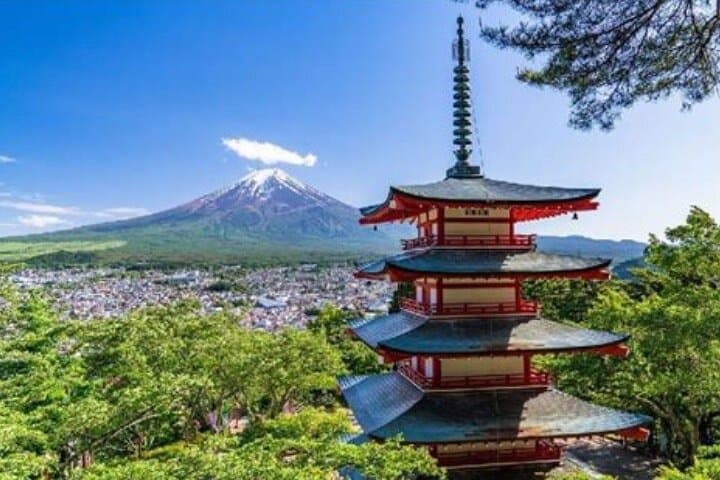 Private Mt Fuji Tour with English Speaking Driver