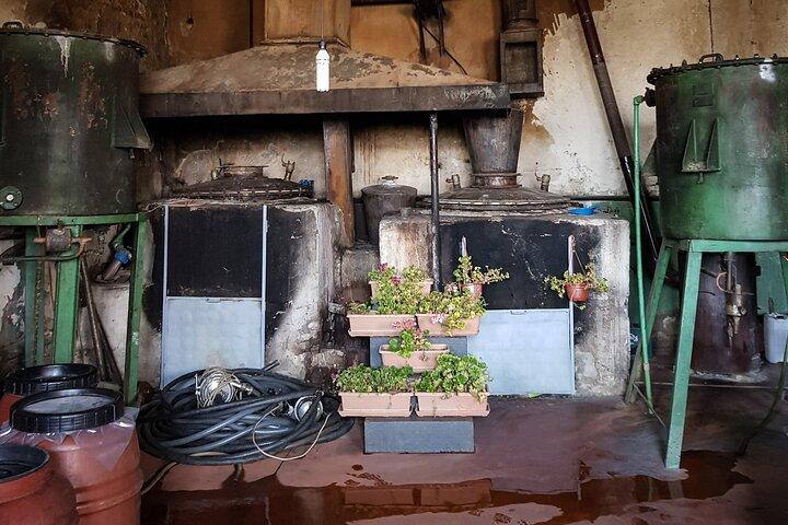Cantina comunista: tour, degustazione e pranzo