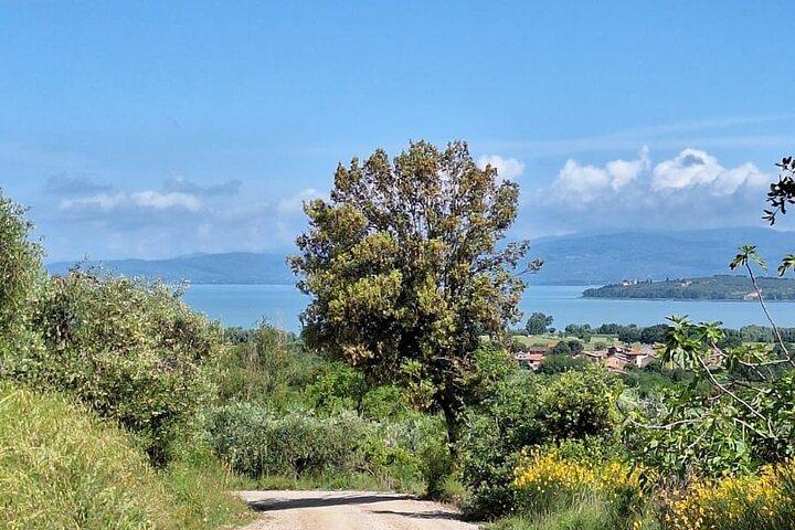 L'incantesimo del Lago Trasimeno - Trekking Tour