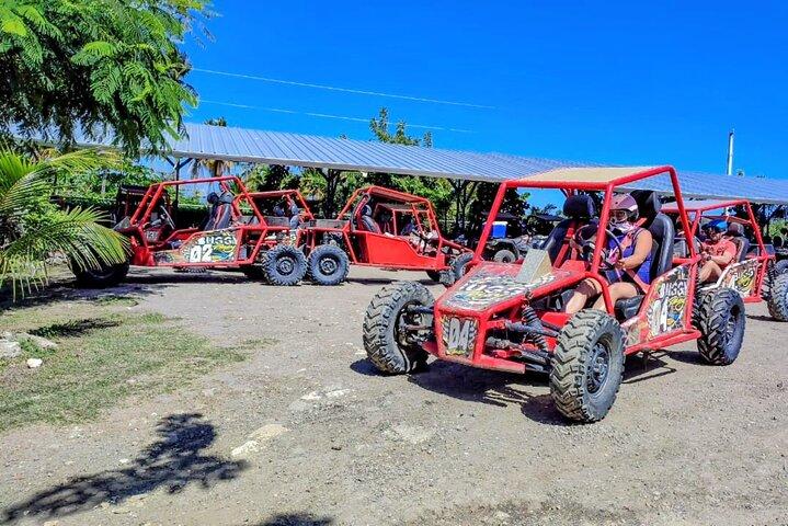Amber Cove Buggy Tour Explorando e Degustando