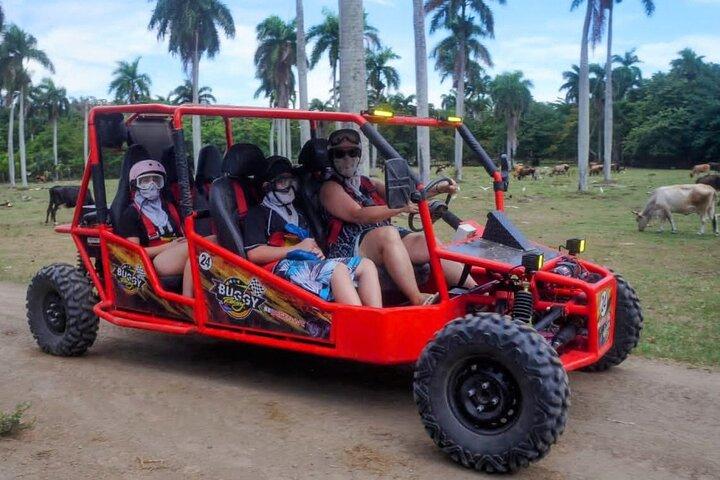 Amber Cove Buggy Tour Explorando e Degustando