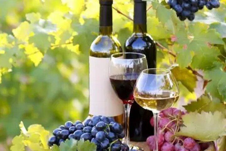 Expérience Italienne parfaite : Cours de cuisine - Wine Tour