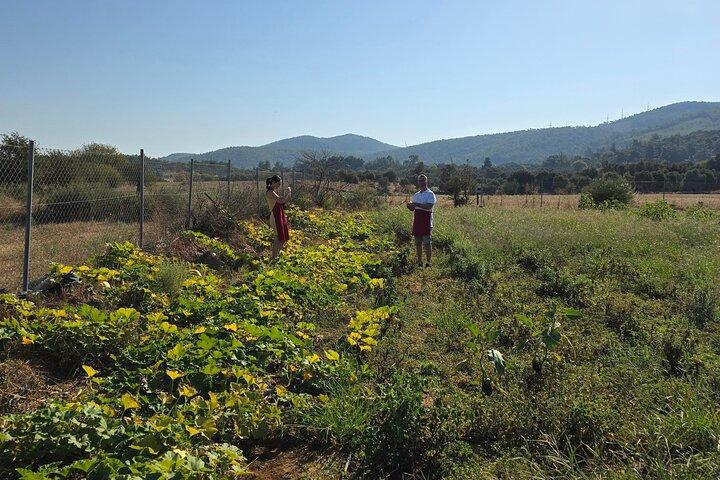 Etrim Village Turkisk matlagning och Farm Experience