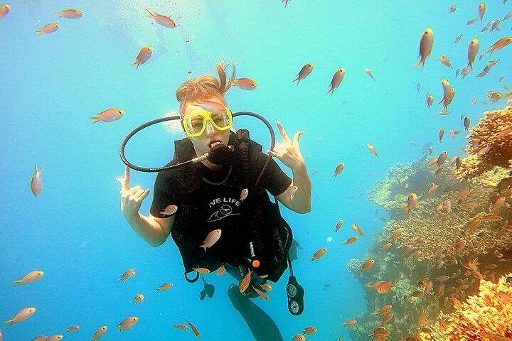Ras Mohammed Nationalpark med 1 introdyk - Sharm El-Shaikh