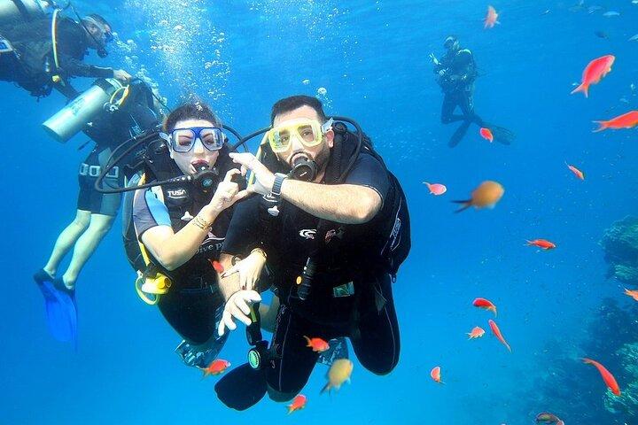 Ras Mohammed Nationalpark med 1 introdyk - Sharm El-Shaikh