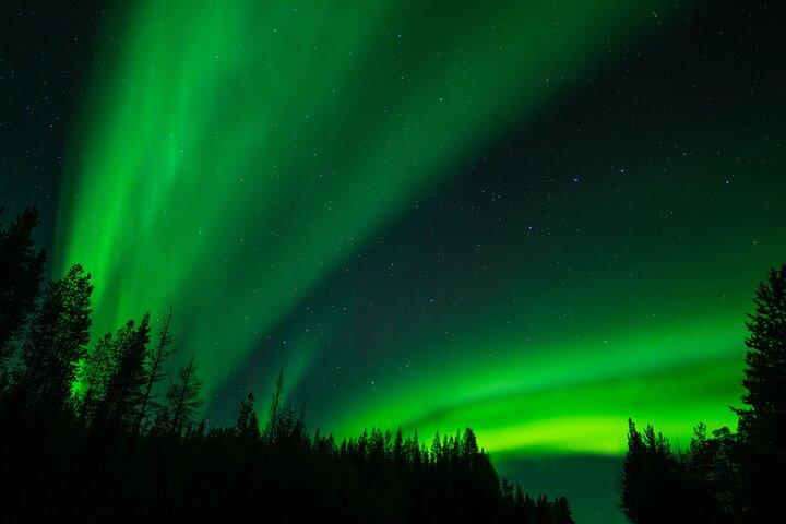 Aurora Caccia in Minivan a Ivalo, Inari o Saariselkä