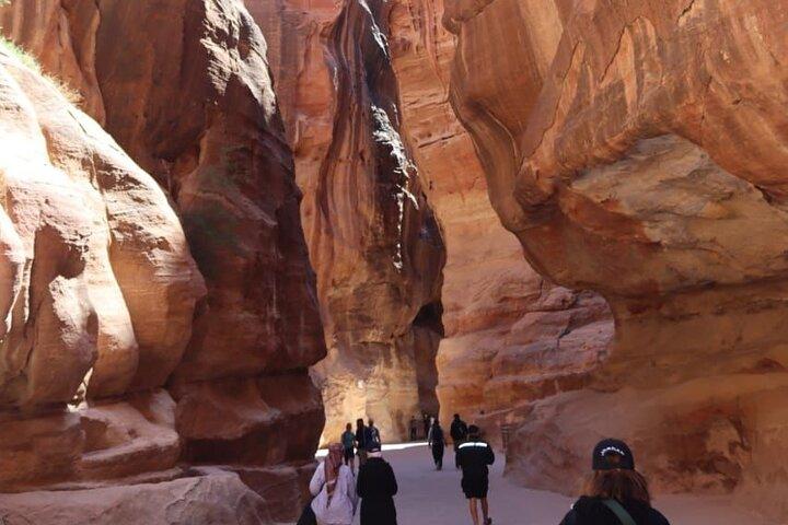 Esplora Wadi Rum e Petra
