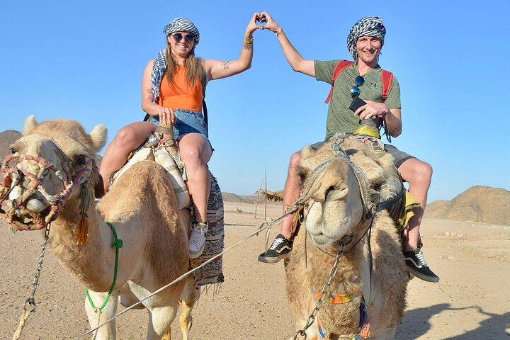 Safari in ATV Quad Bike & splendida valle, Camel Ride - Hurghada