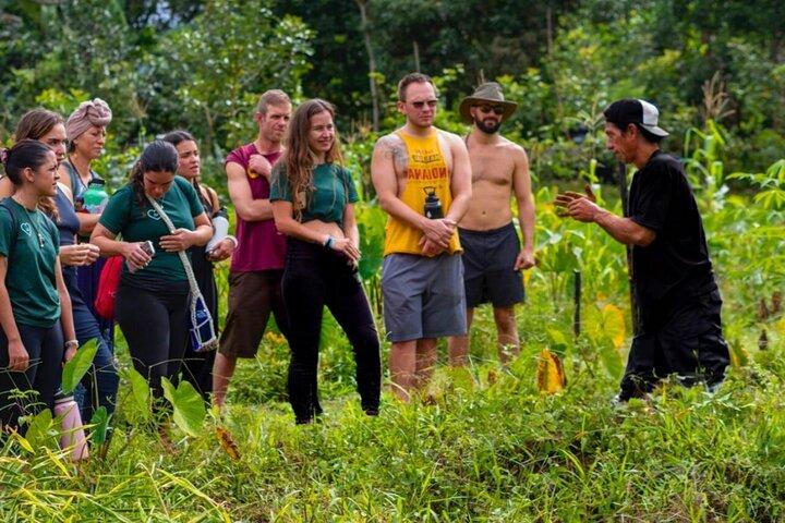Ticote Medicine Farm Tour