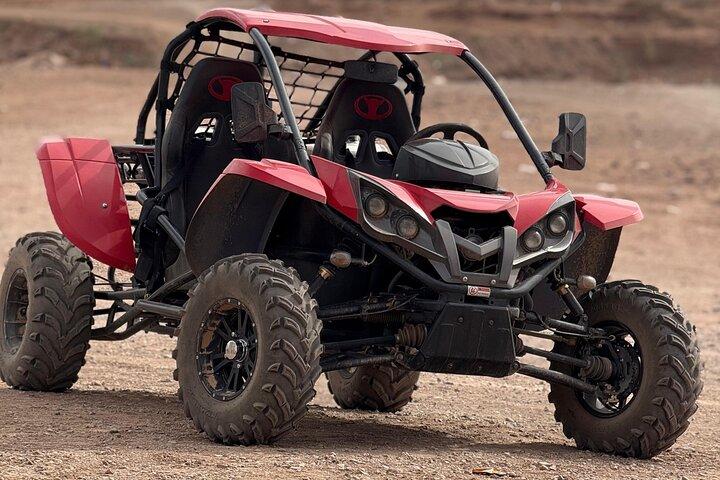 Buggy Adventure in Marrakech's Palm Oasis