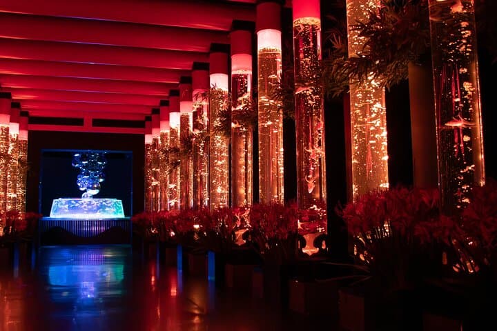 Art Aquarium Museum Ginza Admission Ticket