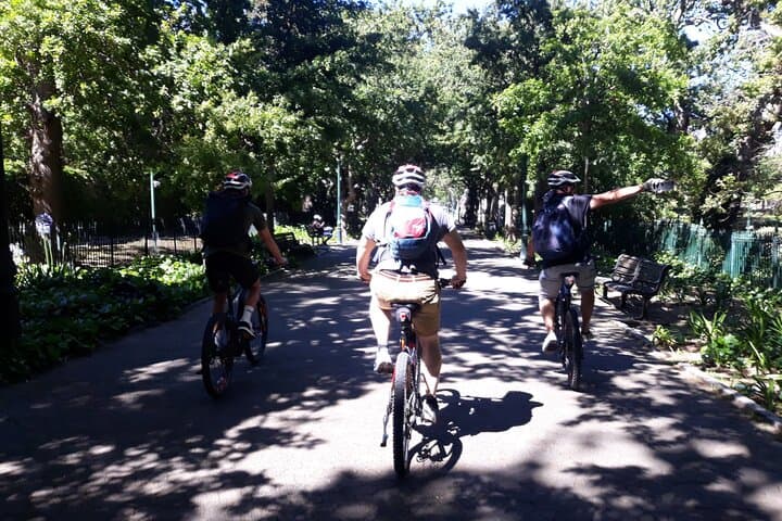 Half Day Table Mountain e-Bike Trip from Cape Town